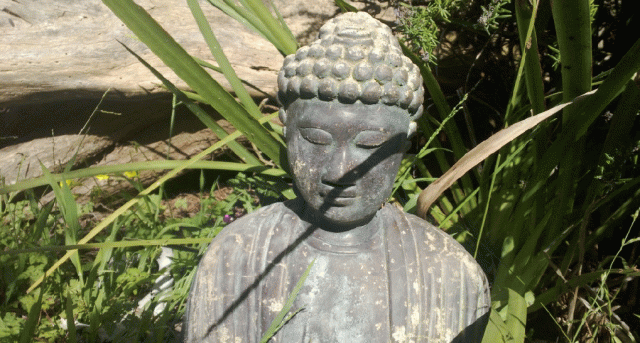 Anne Strasser Blog, Buddha, garden, Meditation