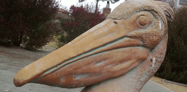 Pelican, Statue, Garden, Montara CA