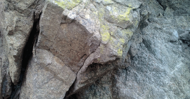 Lichen on Granite, Devil's Slide State Park, Montara CA