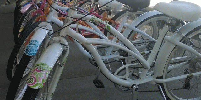Bikes in a row in Davis CA