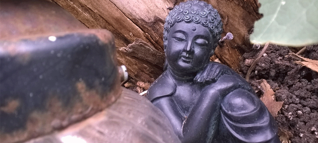 Buddha Statue in the Garden